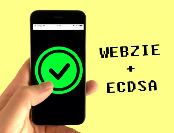 Webzie has upgraded its SSL/TLS security algorithm to ECDSA
